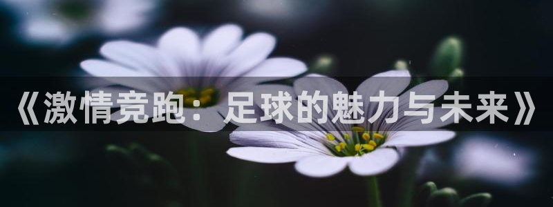 意昂2体育免费注册入口