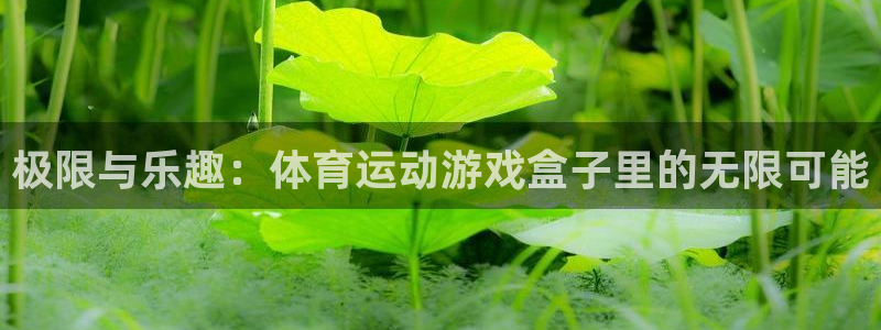 德国意昂2集团