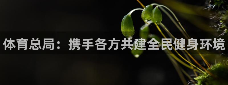 意昂平台登陆