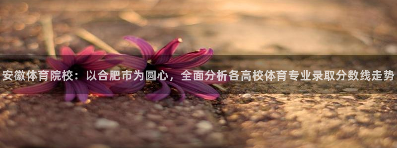 意昂2体育f开户