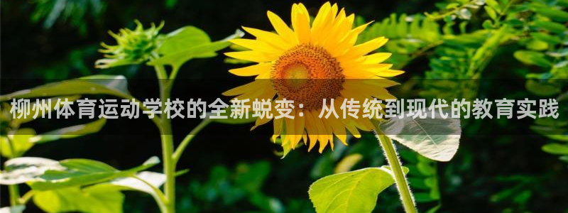 意昂是什么品牌