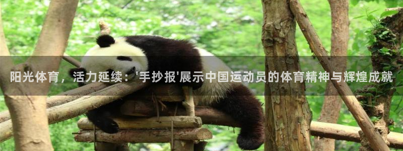 意昂2体育凯捷代理注册