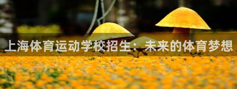 成都意昂电子有限公司
