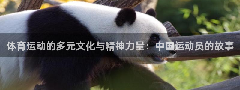 意昂23登陆