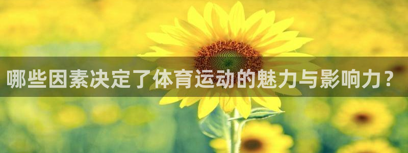 意昂体育官网