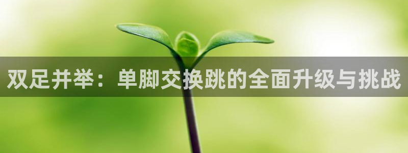 意昂2官网入口